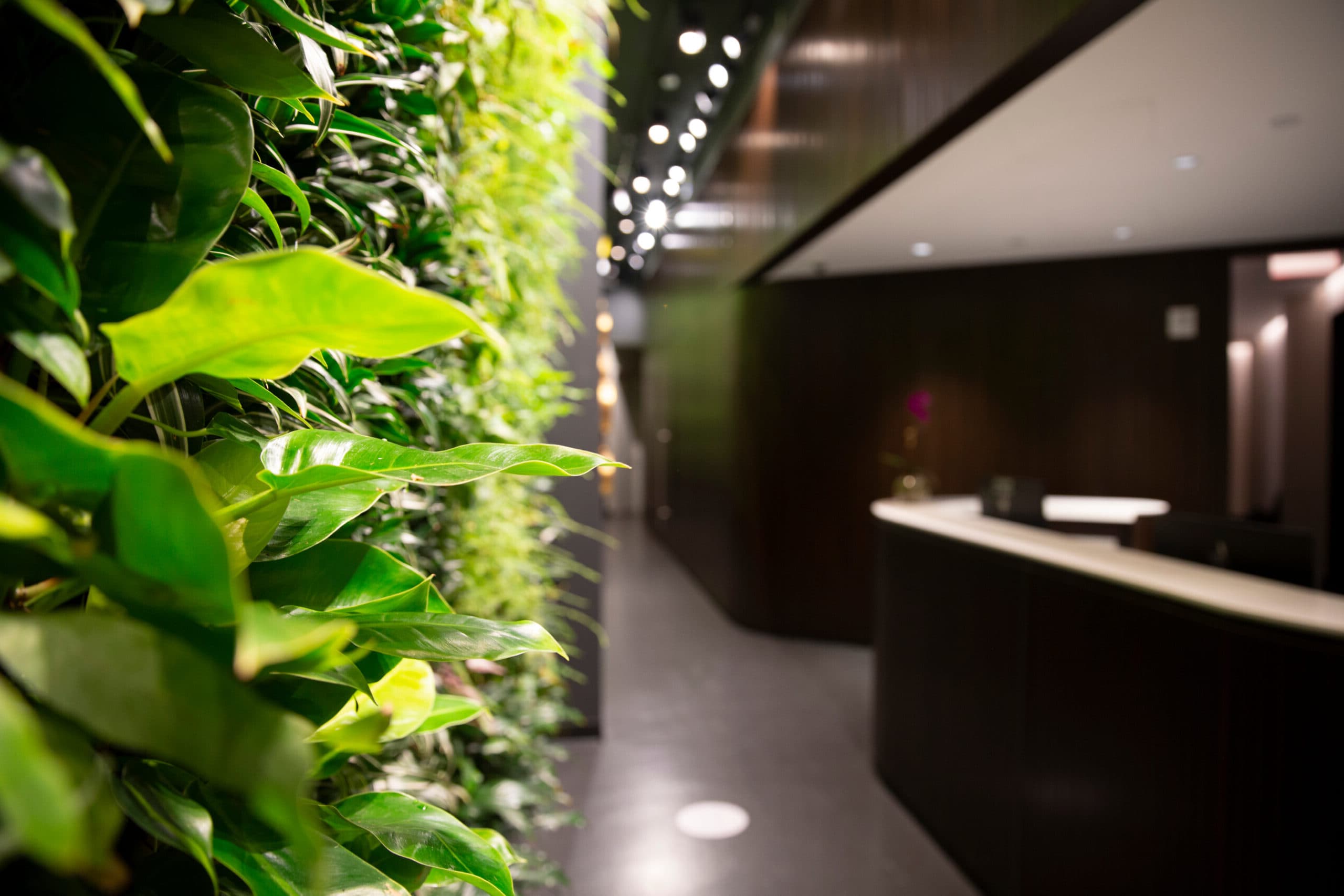 Extension Health Manhattan clinic reception with vertical garden
