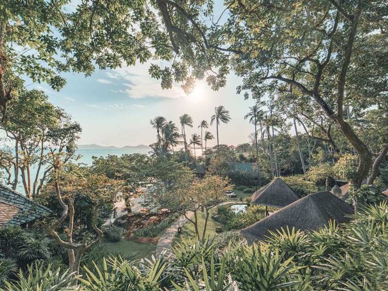 Kamalaya IV therapy and longevity treatments